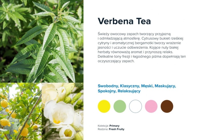 Nuty zapachowe Verbena Tea: werbena cytrynowa, herbata, nuty zielone. Zapach orzeźwiający i naturalny.
